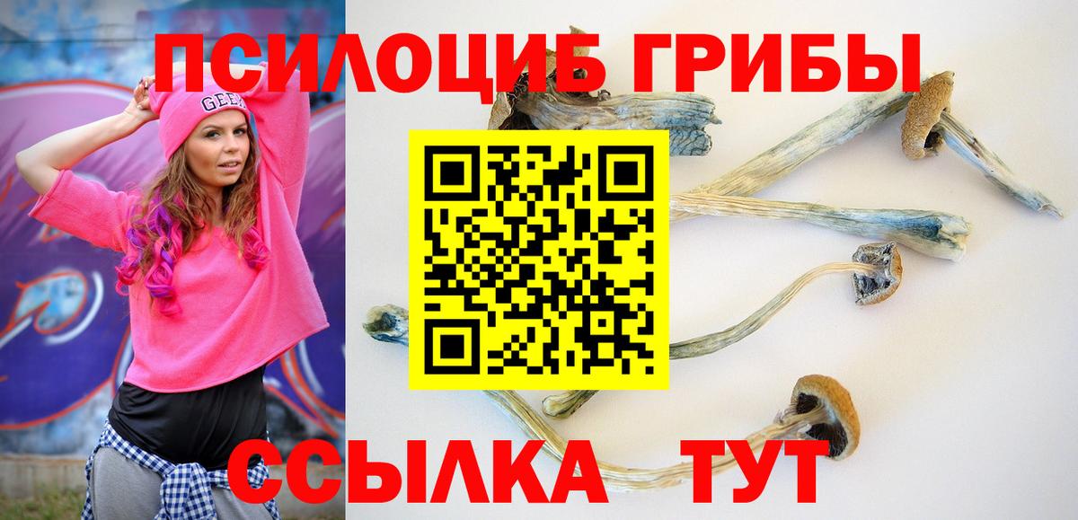 Псилоцибиновые грибы GOLDEN TEACHER Чайковский